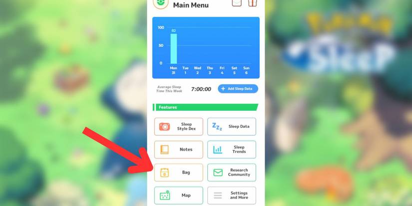 image showing the bag in pokemon sleep.