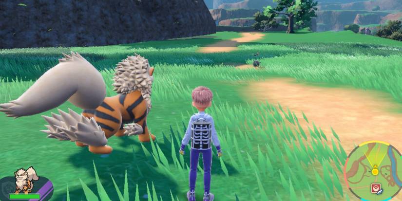 An Arcanine Preparing To Auto Battle