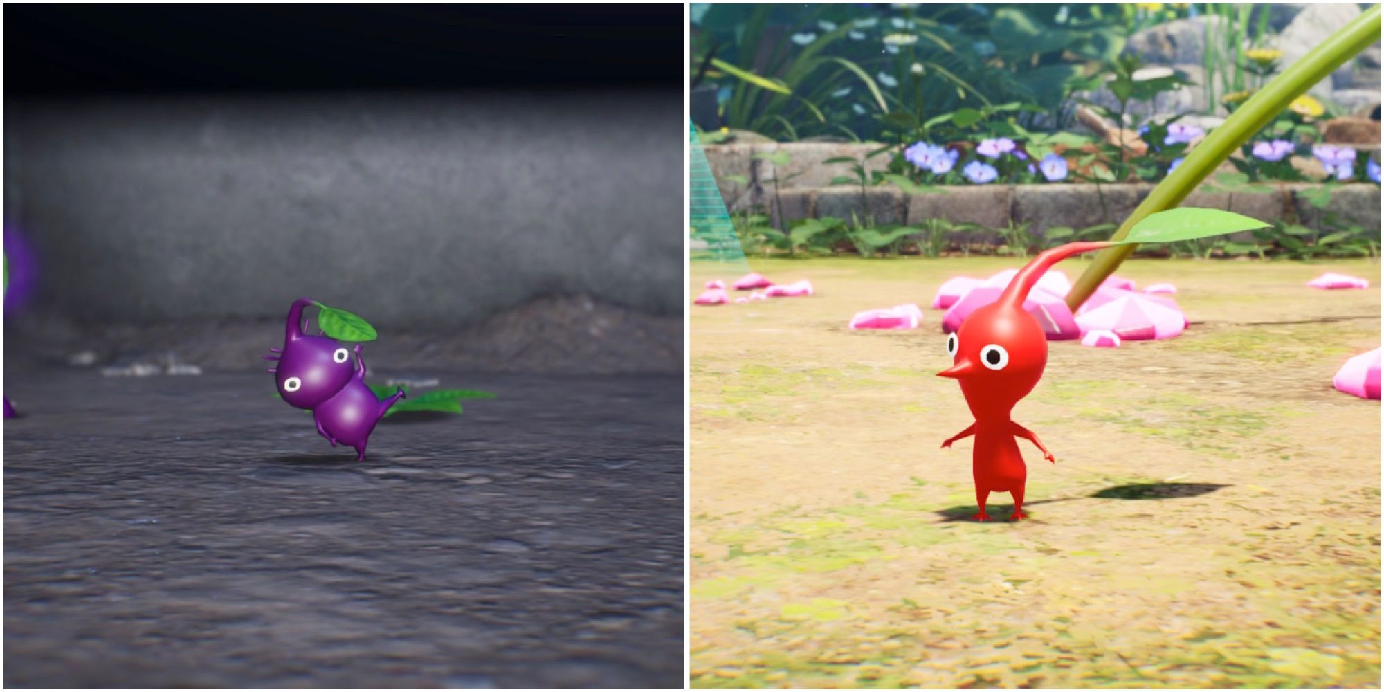 Pikmin 4 Every Pikmin, Ranked