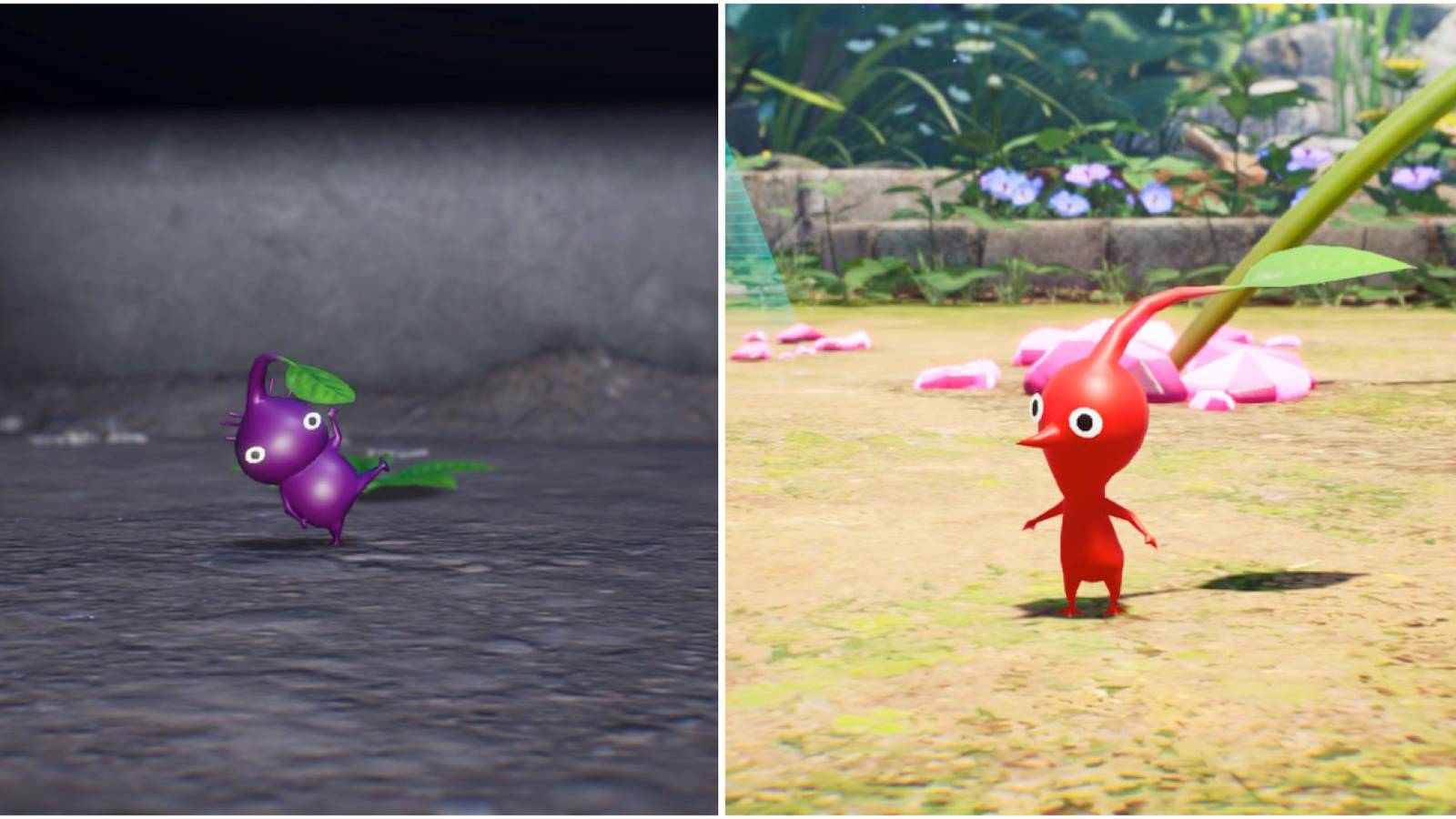 Purple and Red Pikmin in Pikmin 4