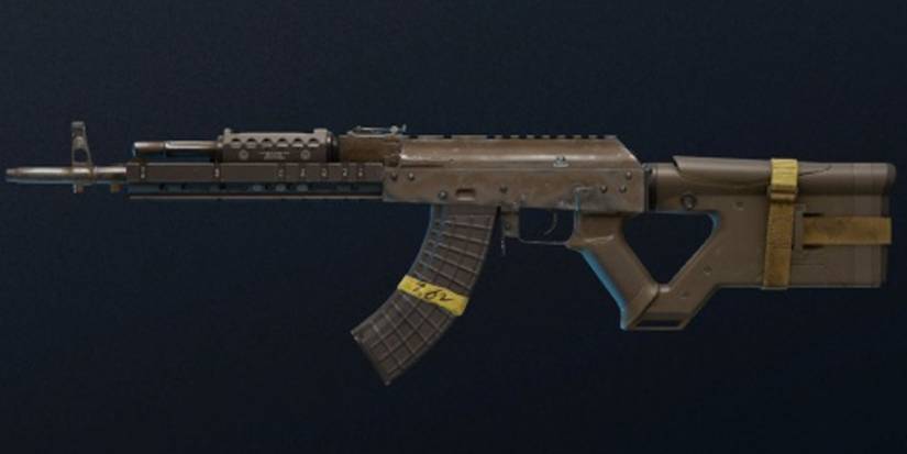 Rainbow Six Siege Best Assault Rifles M762