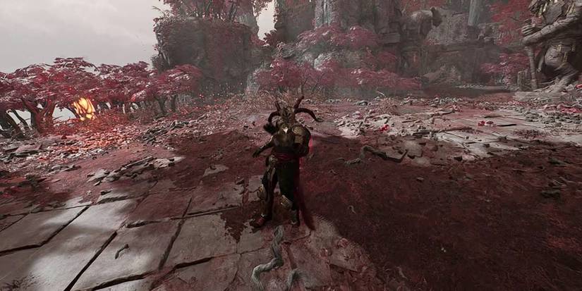 Remnant 2 - Red Widow Armor Mid Summoning Animation