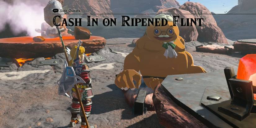 Link accepting the Ripened Flint quest from Gomo