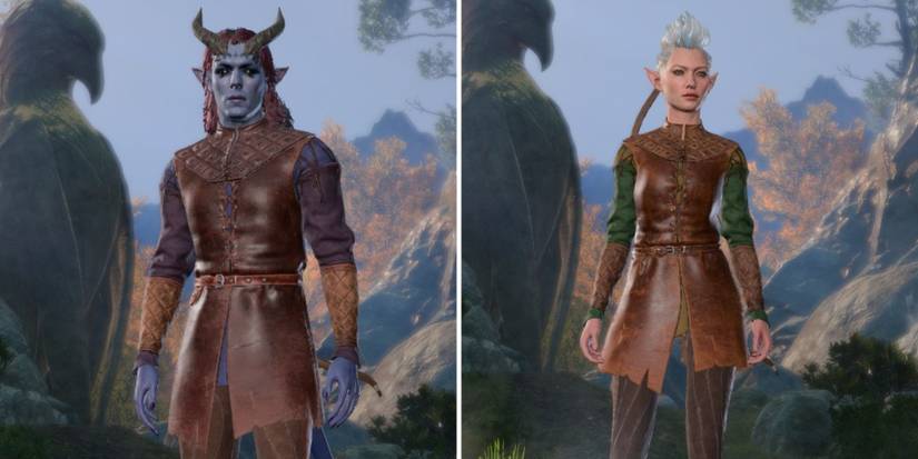 A Rogue and a Ranger in Baldur's Gate 3