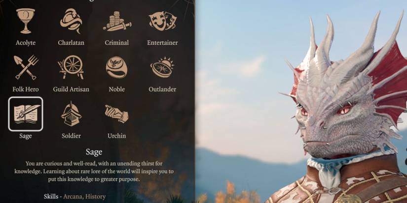 The Sage background in Baldur's Gate 3