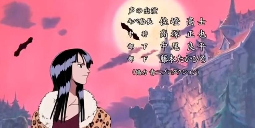 Robin Looking At A Gothic Castle