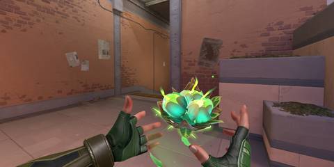 Skye's Ultimate Valorant - Seekers