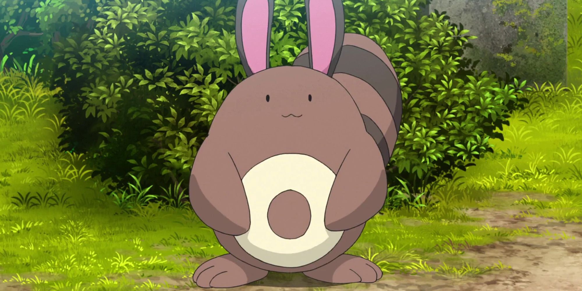 Sentret In The Pokemon Anime