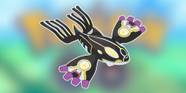 Mega Evolution Kyogre Mega Evolution Kyogre