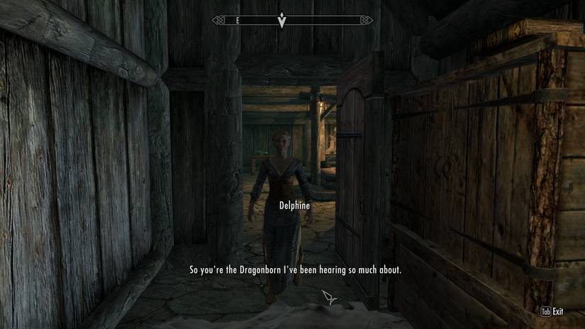Skyrim Delphine