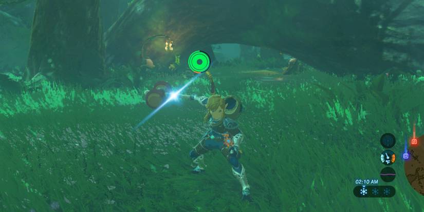 Link wielding a spring-loaded hammer.