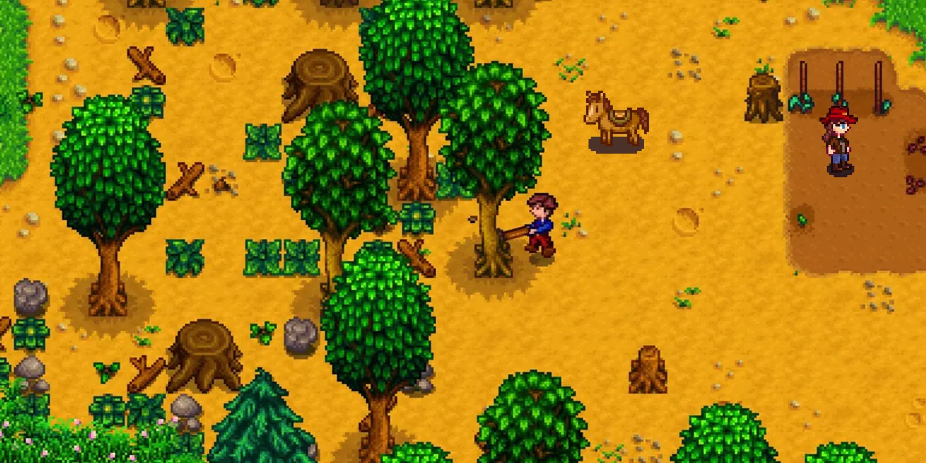 Stardew Valley New Farm