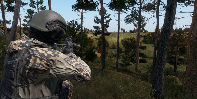 Staying stealthy in DayZ wearing camo in the treeline