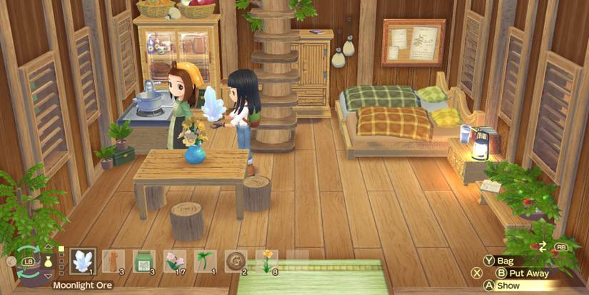 story of seasons a wonderful life cecelia gift