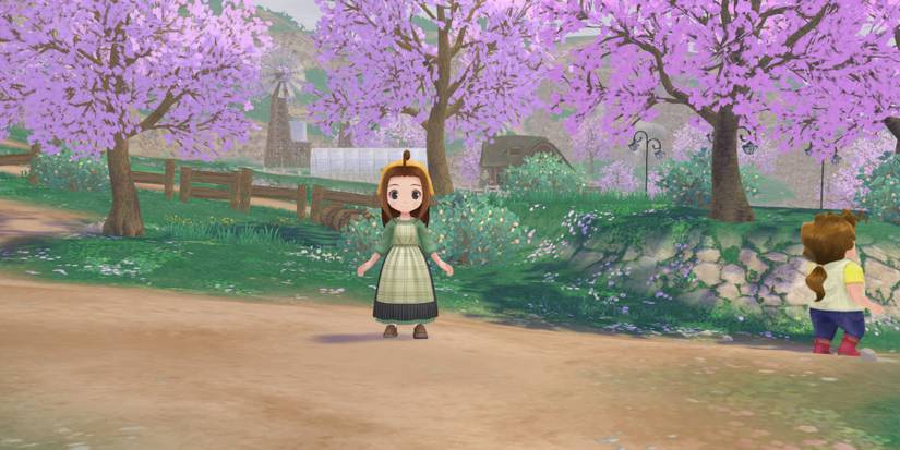 story of seasons a wonderful life cecelia heart event