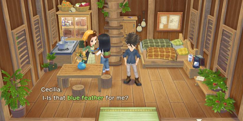 story of seasons a wonderful life cecelia proposal