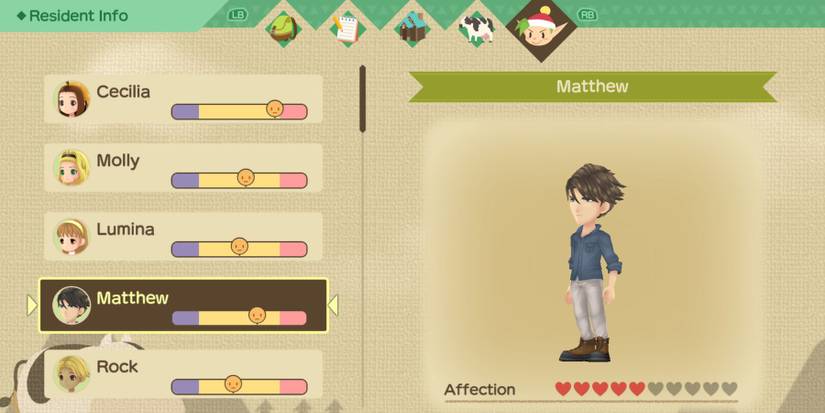 Story of seasons a wonderful life matthew affection