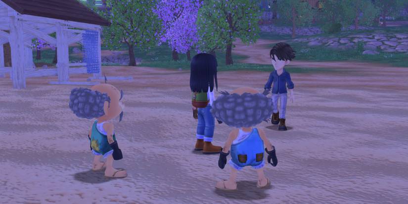 Story of seasons a wonderful life matthew date fireworks festival