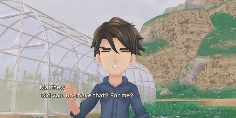 Story of seasons a wonderful life matthew gifts