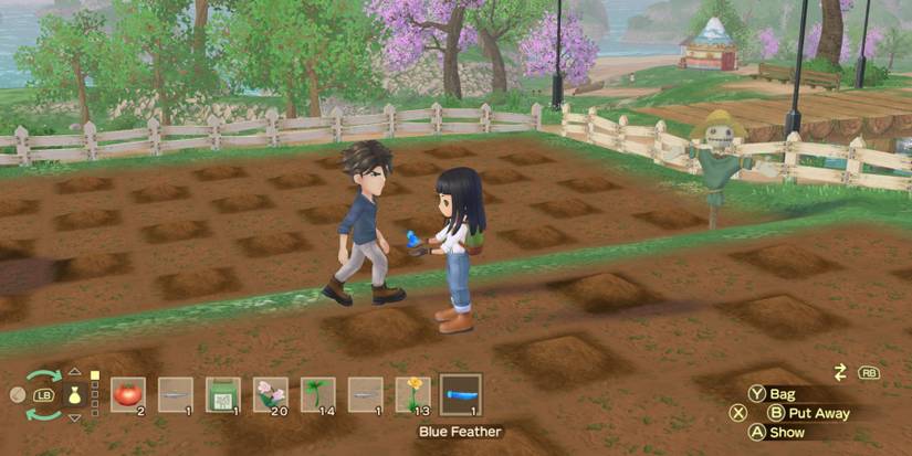 Story of seasons a wonderful life matthew proposal blue feather