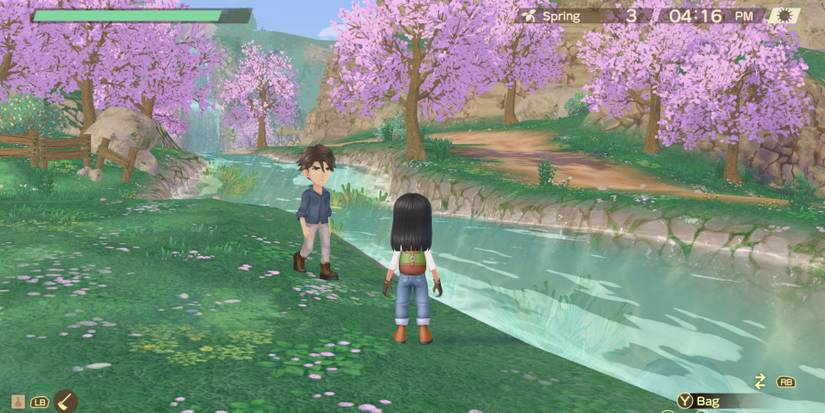 Story of seasons a wonderful life matthew walking