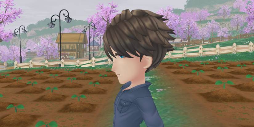 Story of seasons a wonderful life matthew