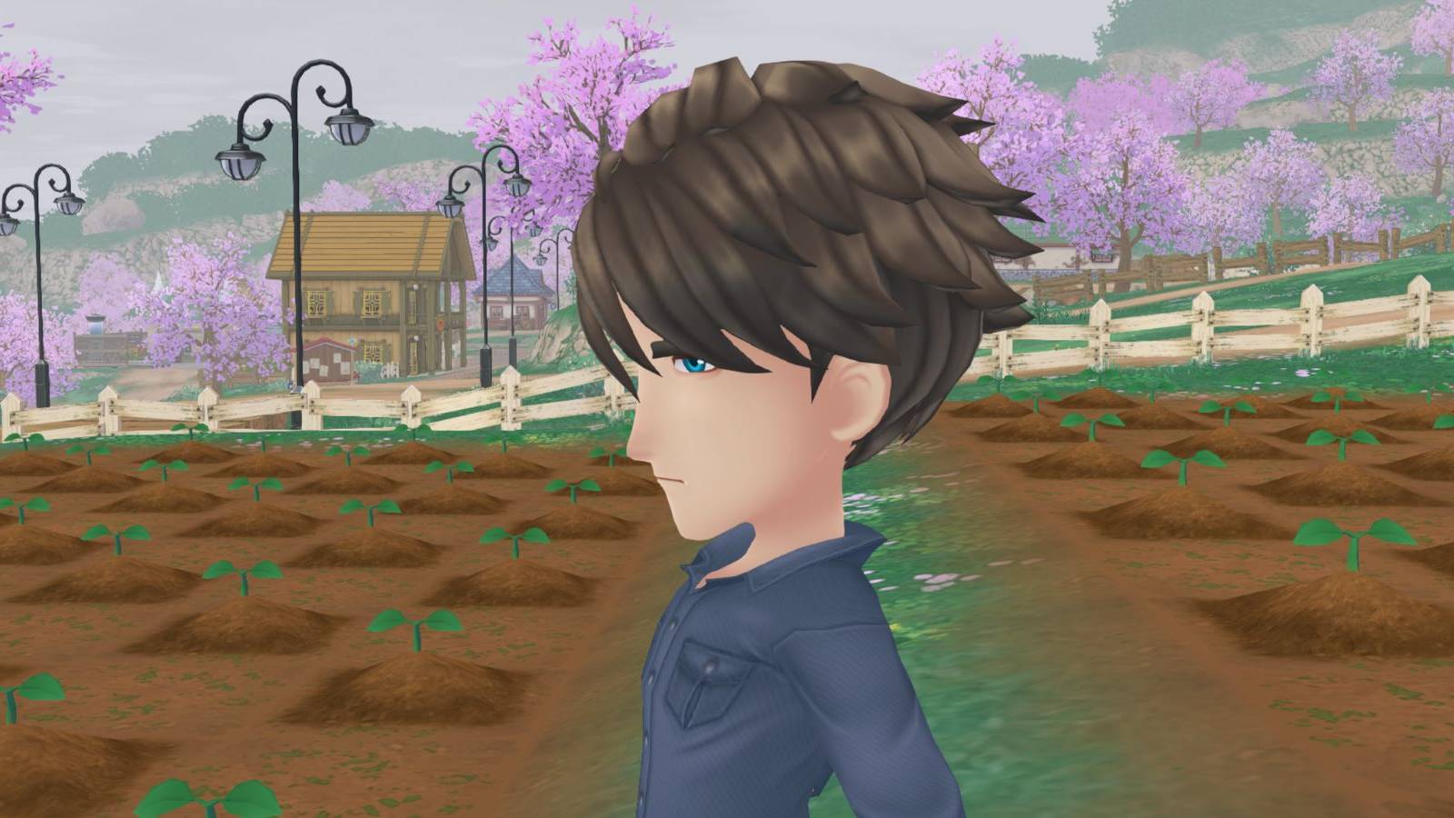 Story of seasons a wonderful life matthew