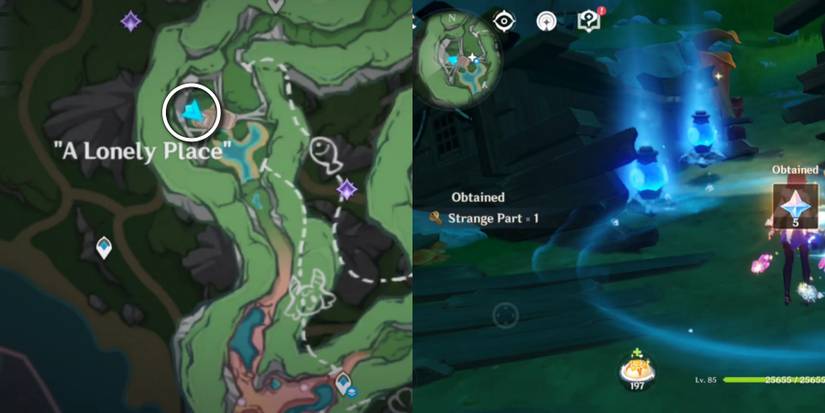 strange Part a lonely place miraculous hydrograna