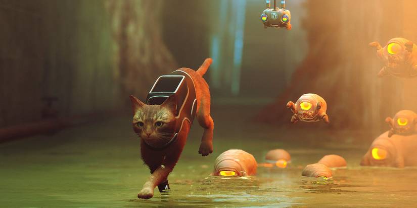 the Stray avoiding hostile critters