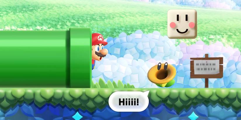 Super Mario Wonder NPCs