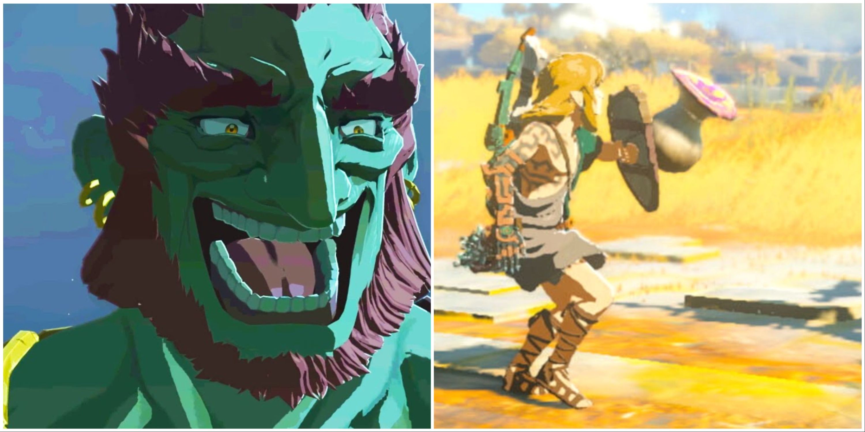 The Legend of Zelda: Tears of the Kingdom Memes