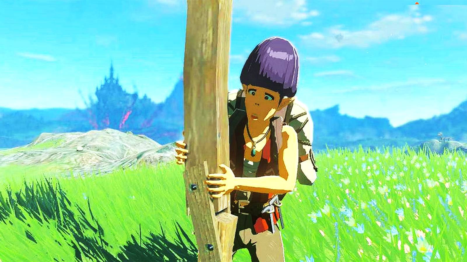 the-legend-of-zelda-tears-of-the-kingdom-sign-guy-addison