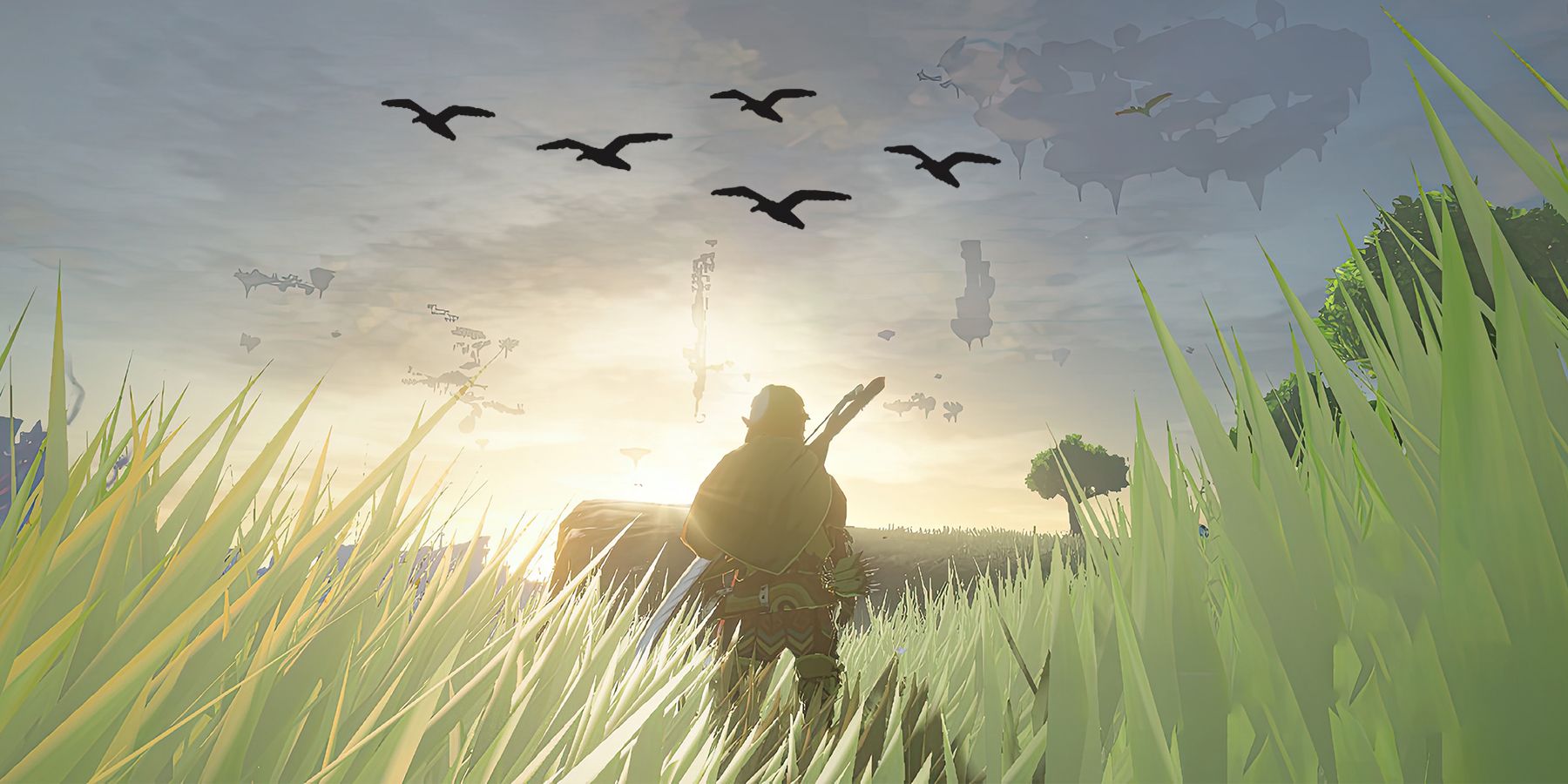 The Legend of Zelda Tears of the Kingdom TOTK Link looking at distant flock of birds composite