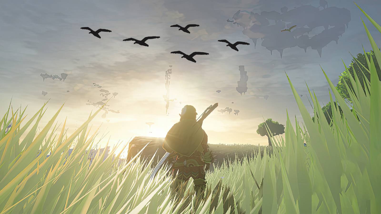The Legend of Zelda Tears of the Kingdom TOTK Link looking at distant flock of birds composite