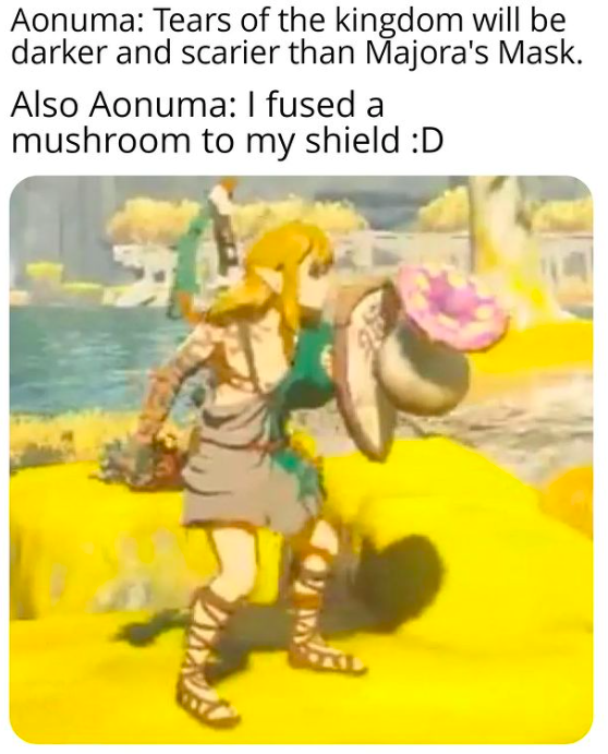 Funny Zelda: Tears Of The Kingdom Memes