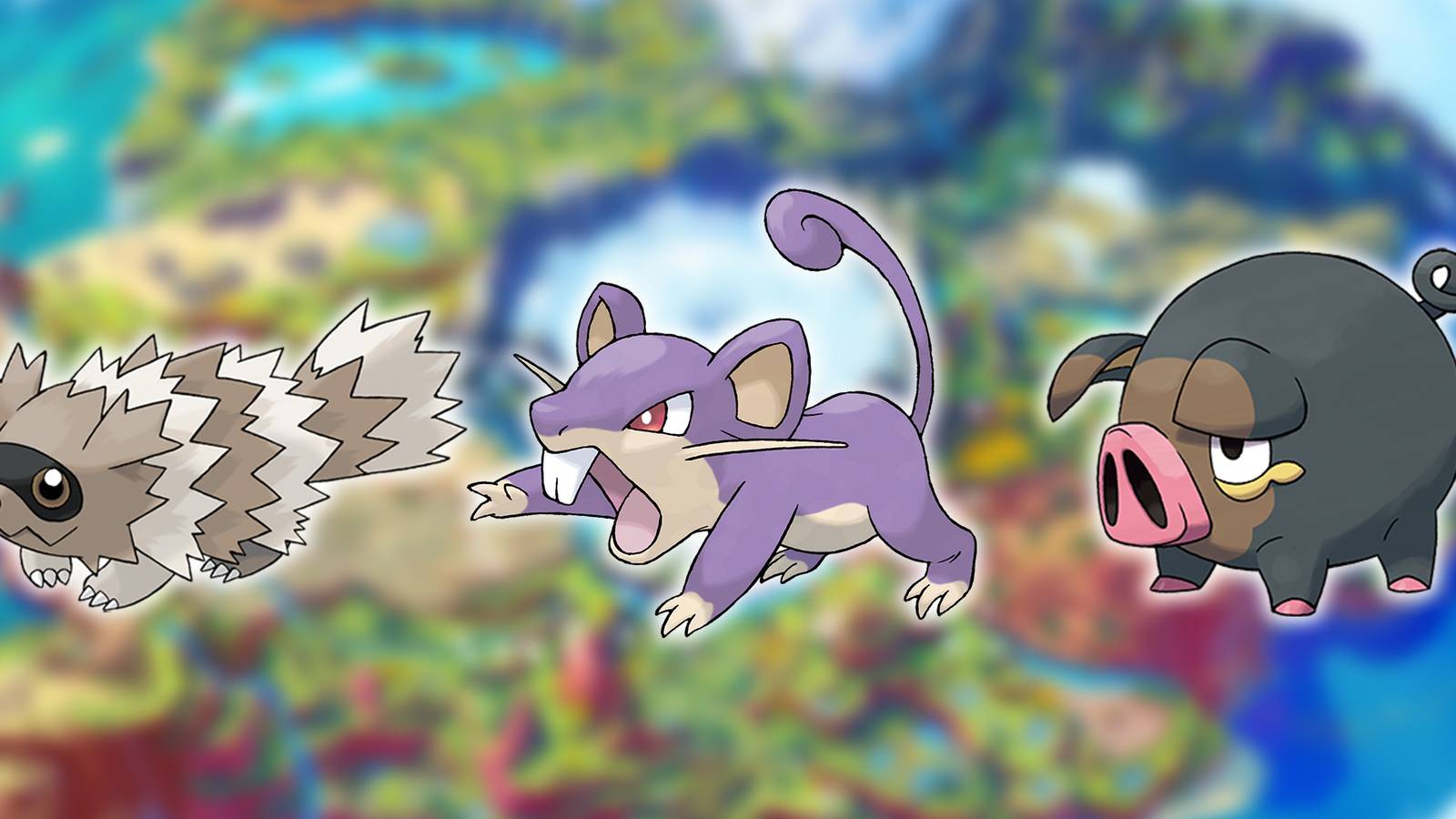 The Regional Rodent Of Each Generation