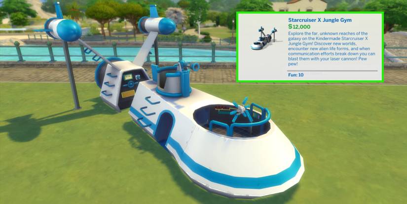 The Starcruiser X Jungle Gym is a very expensive item in the game