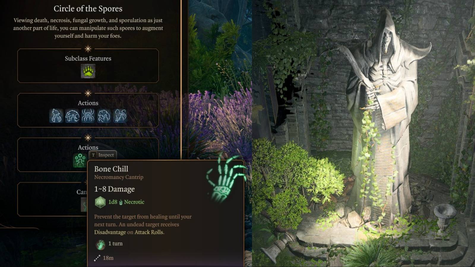 title image best necrotic spells bg3