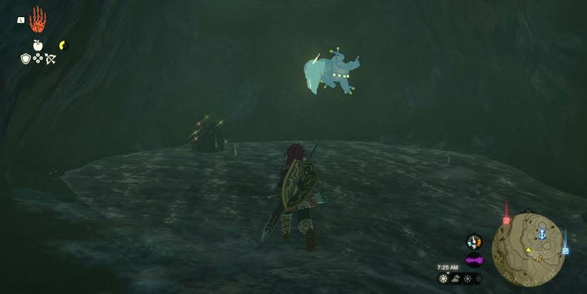 Bubbulfrog in Zorana Byroad Cave in Tears of the Kingdom.