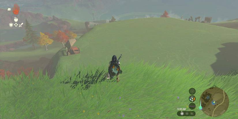 Home on Arrange quest Link's land plot in Zelda: Tears of the Kingdom.