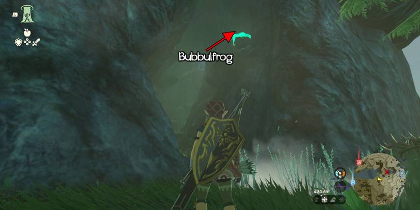 Bubbulfrog location in Zorana Mountain Cave in Tears of the Kingdom.