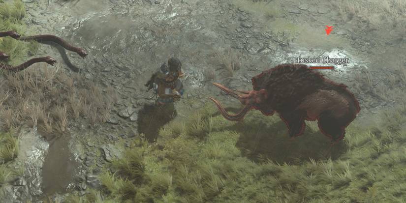A Tusked Charger in Diablo 4