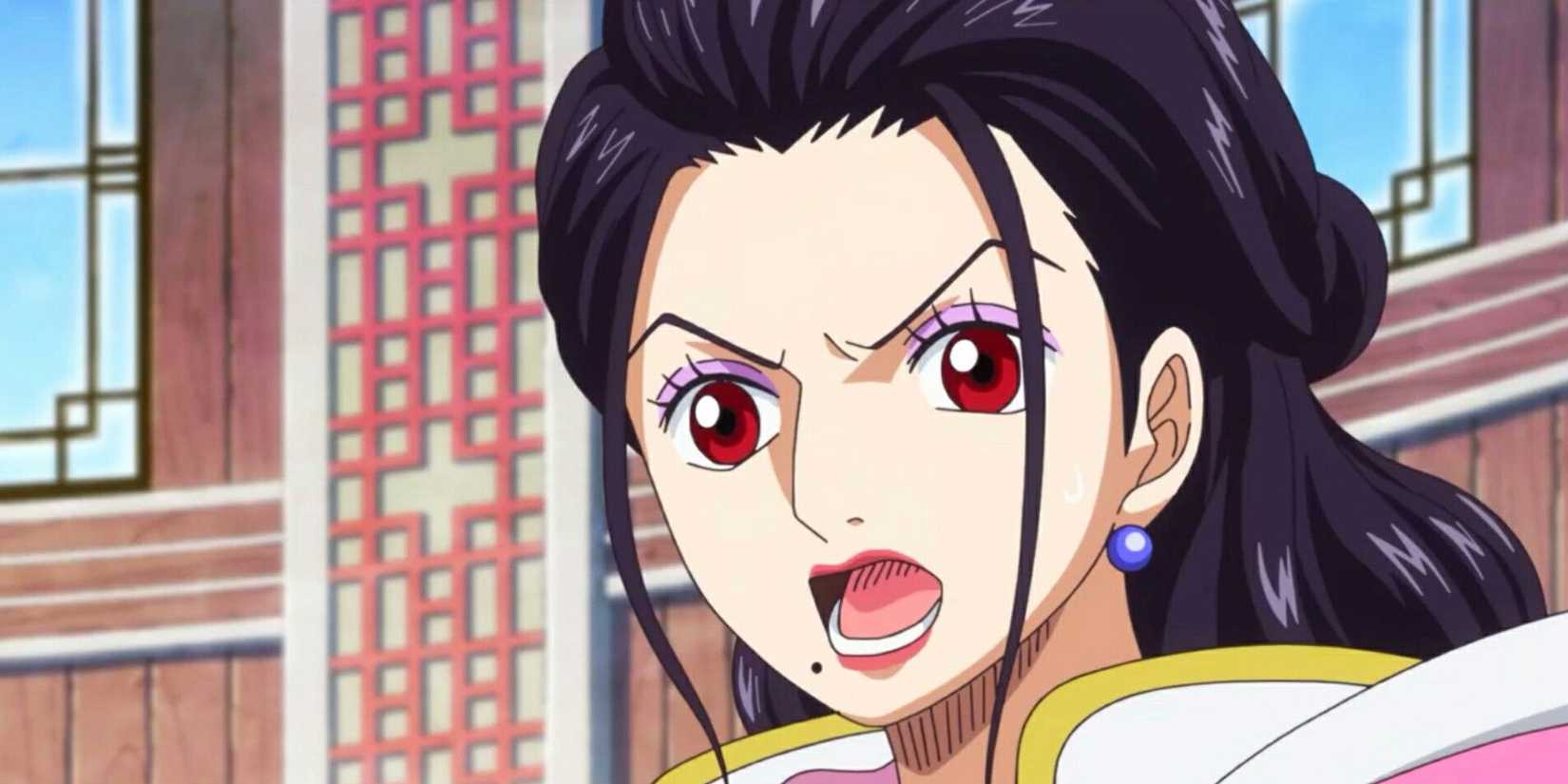 vice admiral momousagi from one piece