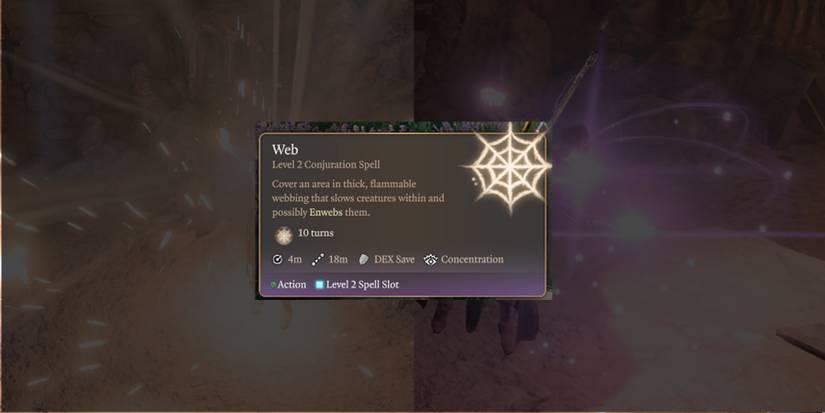 Web Spell