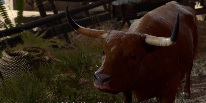 The Strange Ox in Baldur's Gate 3