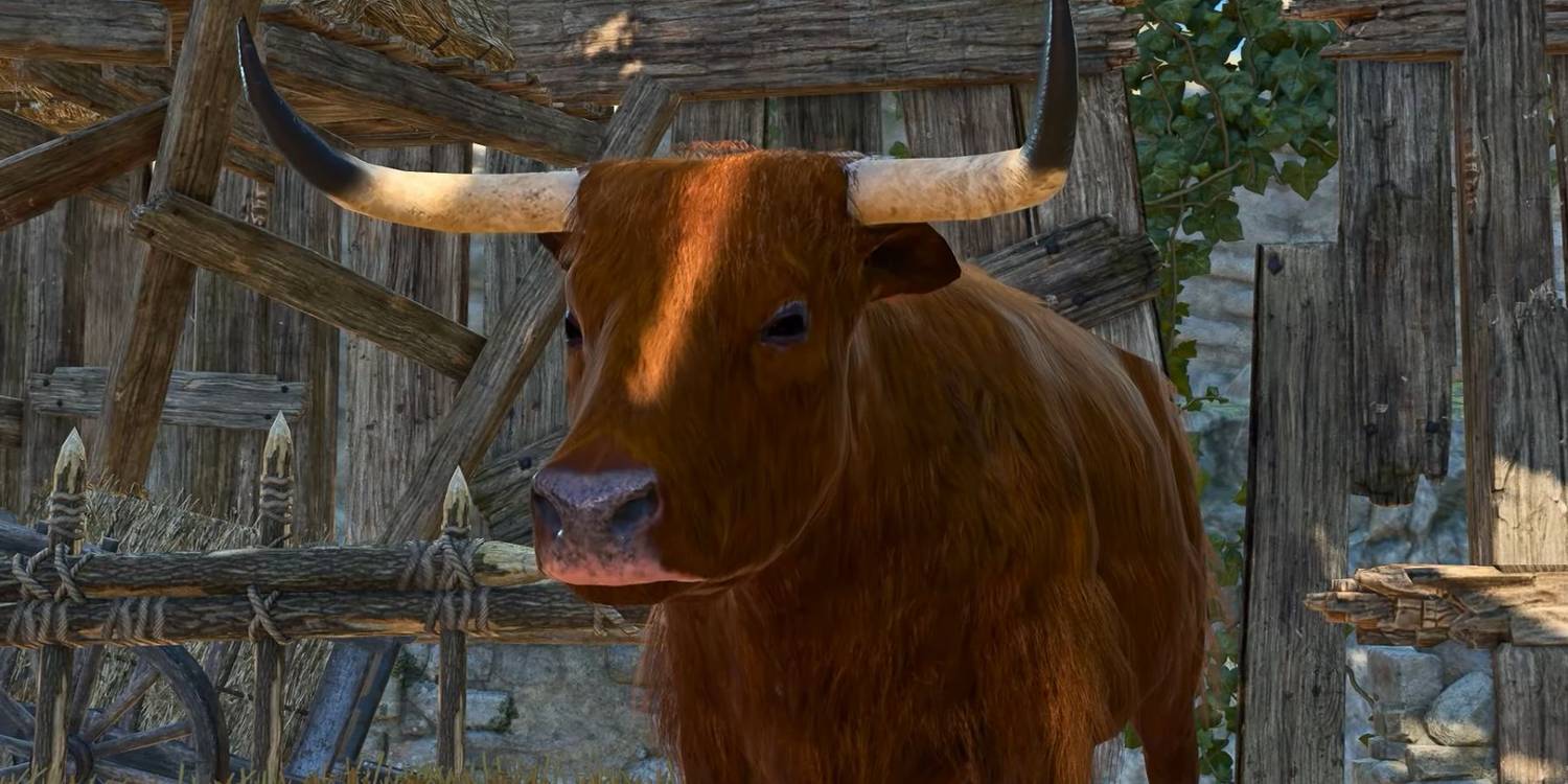 what-is-the-strange-ox-in-baldur-s-gate-3.jpg (1500×750)