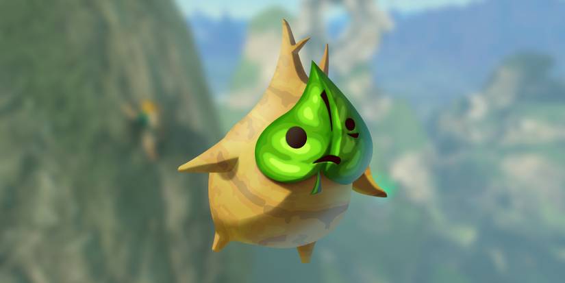 Zelda Tears of the Kingdom Korok Bungee Jump