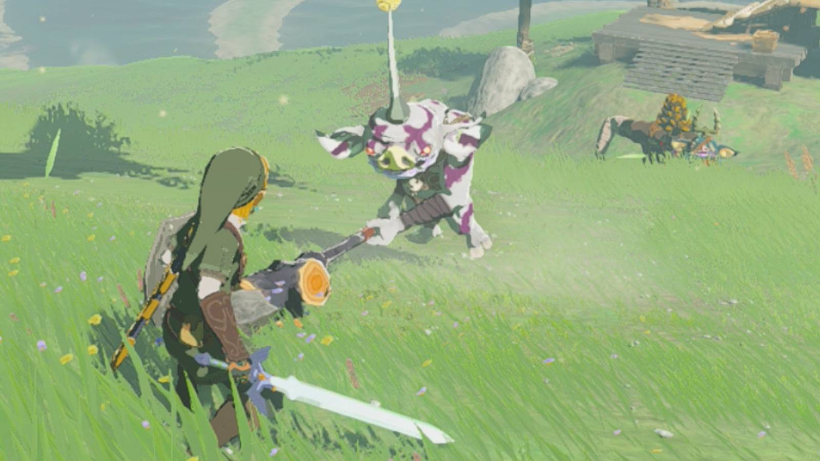 zelda tears of the kingdom link silver bokoblin