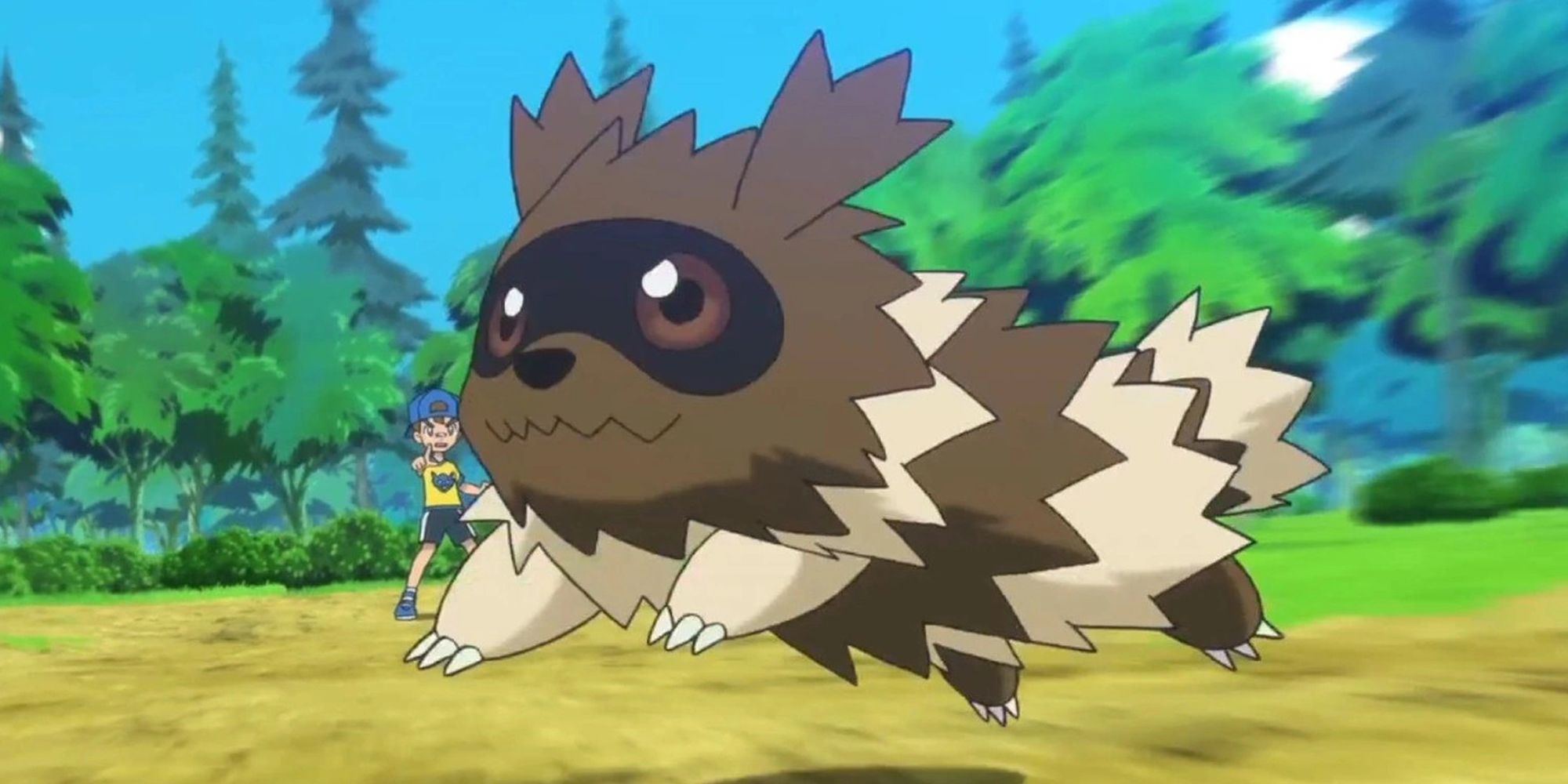 Zigzagoon In The Pokemon Anime