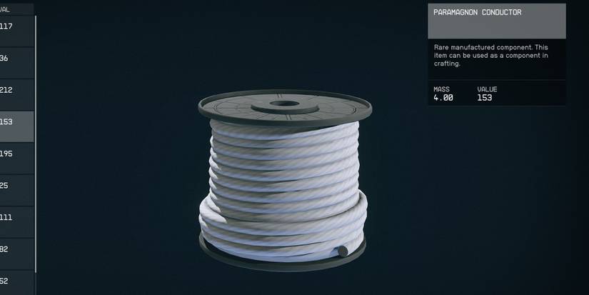 Paramagnon Conductor